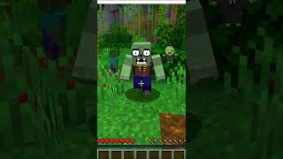 PANDA MI ZOMBİ Mİ!!! #minecraft #minecraftjava #memes #roblox #oyun #eğlence #brawlstars #aivideo