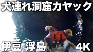 2023/05/24 西伊豆・浮島 犬連れ洞窟カヤック 4K動画 Kayak through a cave on the Futo coast of Nishiizu