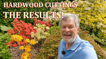 The Results! - Hardwood Cuttings & Plant Food
