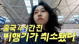 험난한 여행의 시작 27시간 미국 입국기 ㅣ 🇺🇸미국1