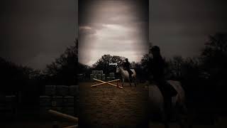 😌🫰 #fypシ #horse #mümmelshorseworld #equestrian #viral #pony #riding #edit #horseriding #jumping