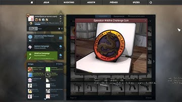 Operation Wildfire Challenge Coin - CS go Showcase