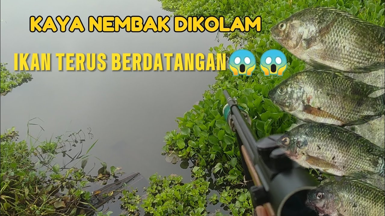 DAPAT 2,8 KILO IKAN NILA + GABUS😱.. AWAS ADA OMBAKK🌊🌊