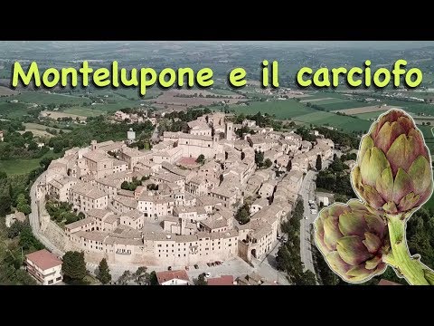 Montelupone e il carciofo !