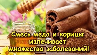 СМЕСЬ МЁДА И КОРИЦЫ ИЗЛЕЧИВАЕТ МНОЖЕСТВО ЗАБОЛЕВАНИЙ СМЕСЬ МЁДА И КОРИЦЫ ИЗЛЕЧИВАЕТ МНОЖЕСТВО ЗАБОЛЕВАНИЙ