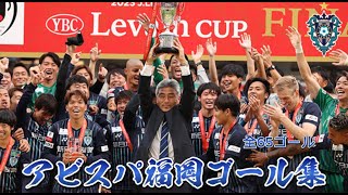 🐝2023年シーズン🐝アビスパ福岡ゴール集(全65ゴール)【写真付】/ Avispa Fukuoka 2023 season all goals