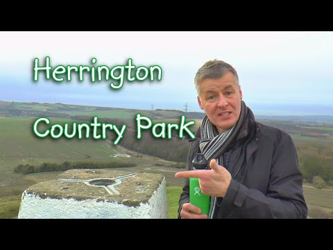 Herrington Country Park - Dr Renwick enjoys some great views & wildlife in his 4th 'Let's Walk' vid.