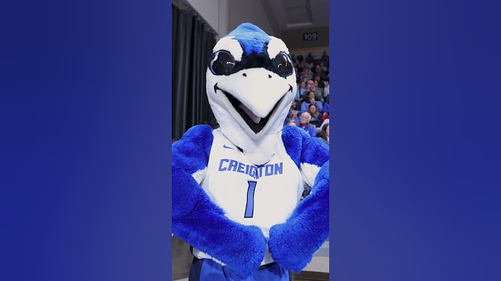 Bluejays have unbeatable spirit