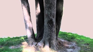 Hi-res models DEMO - Agisoft Photoscan