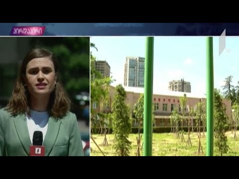 COVID 19 - პაციენტების ჯანმრთელობის მდგომარეობა