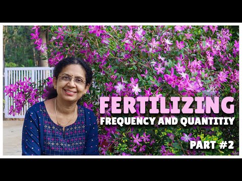 Fertilizing Frequency and Quantity | Fertilizing Tips