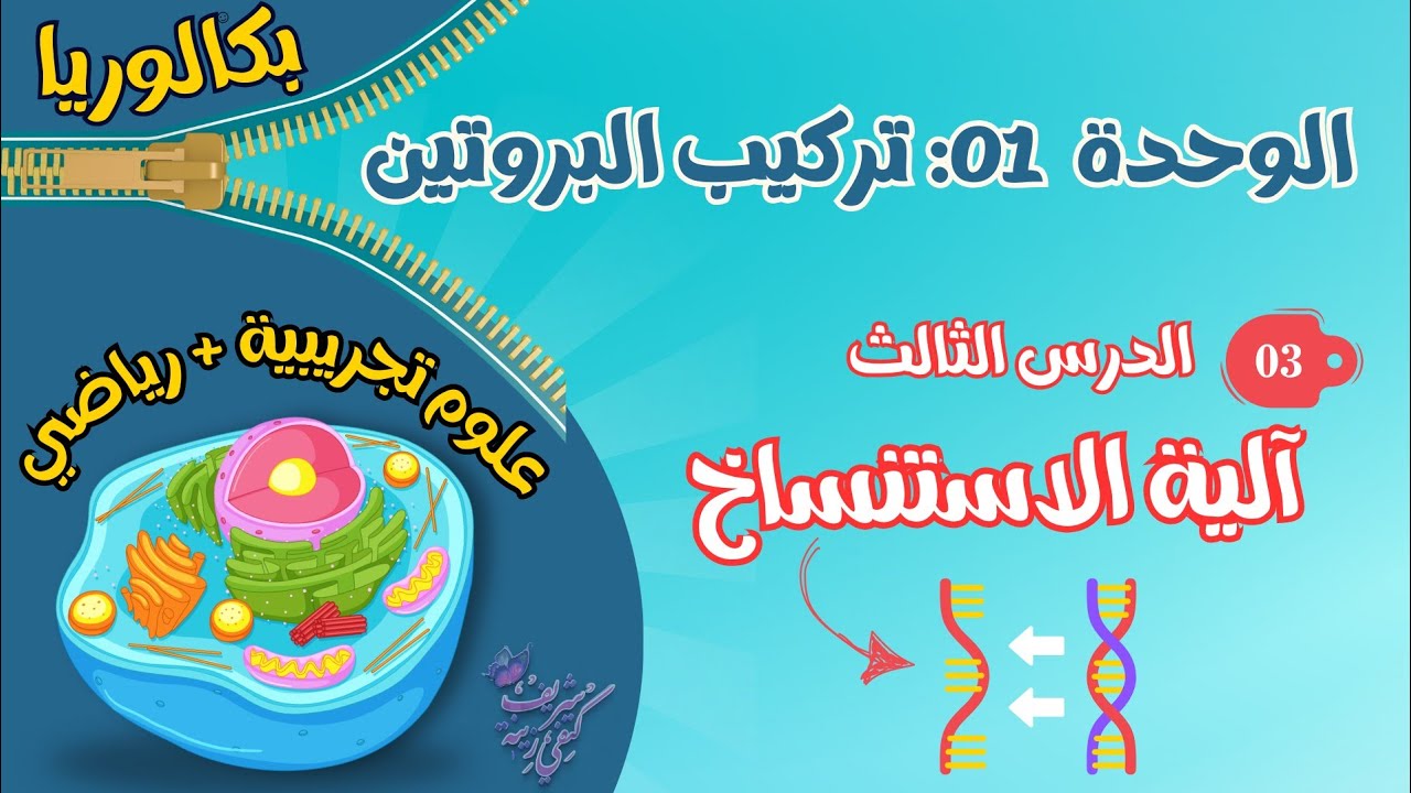 🔥الدرس 3: آلية الاستنساخ +أفكار تمارين ستسمع بها لأول مرة وستفيدك😍+ منهجية رسم تخطيطي تفسيري