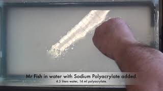 Stokes Equation Demonstration