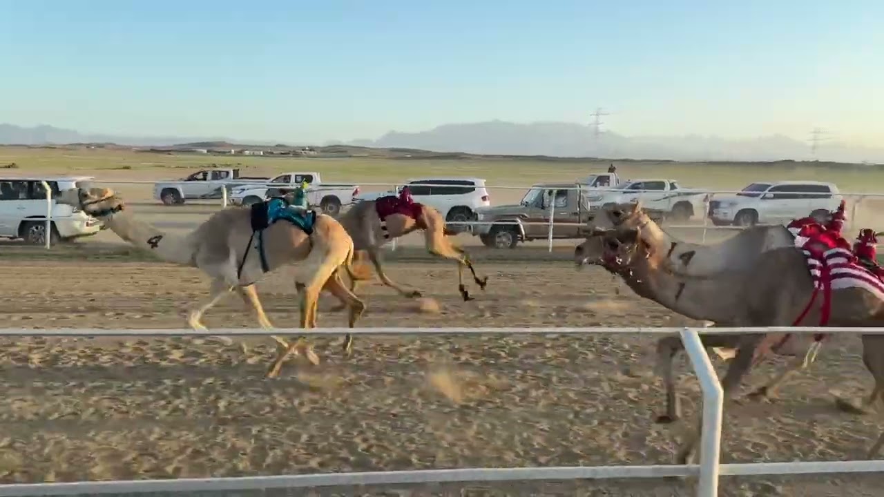الشوط الاول ثنايا قعدان طويق / سليمان بن رويشد الجهني 