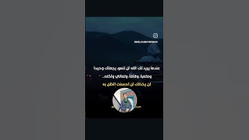 #عبدالرحمن_مسعد_تلاوة_جديدة #اكسبلور #لايك #المصحف 🌧🌧🤍🤍🌷🌷💞😊😊 #ترند اقره وافهم #لايك