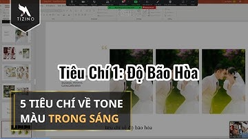 5 TIÊU CHÍ VỀ TONE MÀU TRONG SÁNG