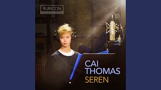 Vesperae Solennes de confessore K. 339: V. Laudate Dominum - Cai Thomas, London Mozart Players, Pegasus Chamber Choir, Robert Lewis and Wolfgang Amadeus Mozart