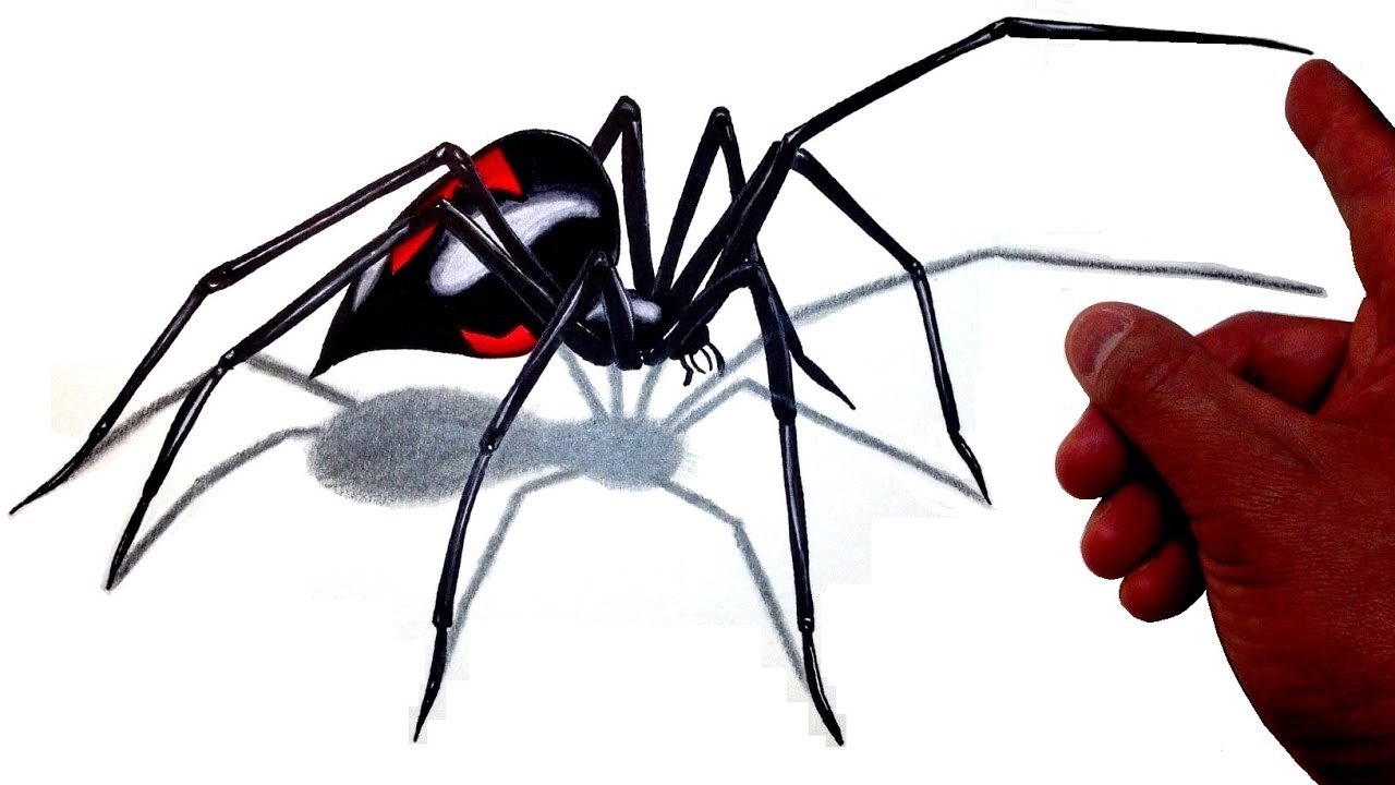 How to Draw a Realistic 3D Giant Black Widow Spider! YouTube