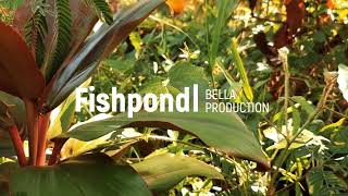 Fishpond 2023 - Using Samsung Galaxy A50
