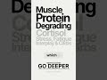 Carbohydrates and Cortisol, Muscle Protein and Fatigue Interplay
