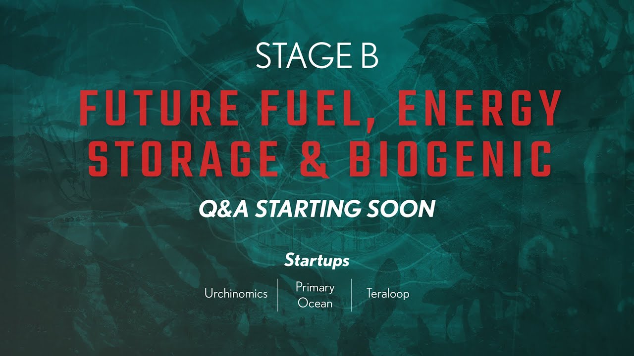 Future Fuel, Energy Storage & Biogenic Q&A Decarbonize 2021 Demo Day