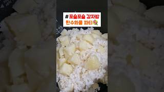 포슬포슬 #감자밥, 감자 듬뿍! 밥솥 열자마자 행복💛오늘도 밥으로 힐링하기... 감자밥 대성공😆