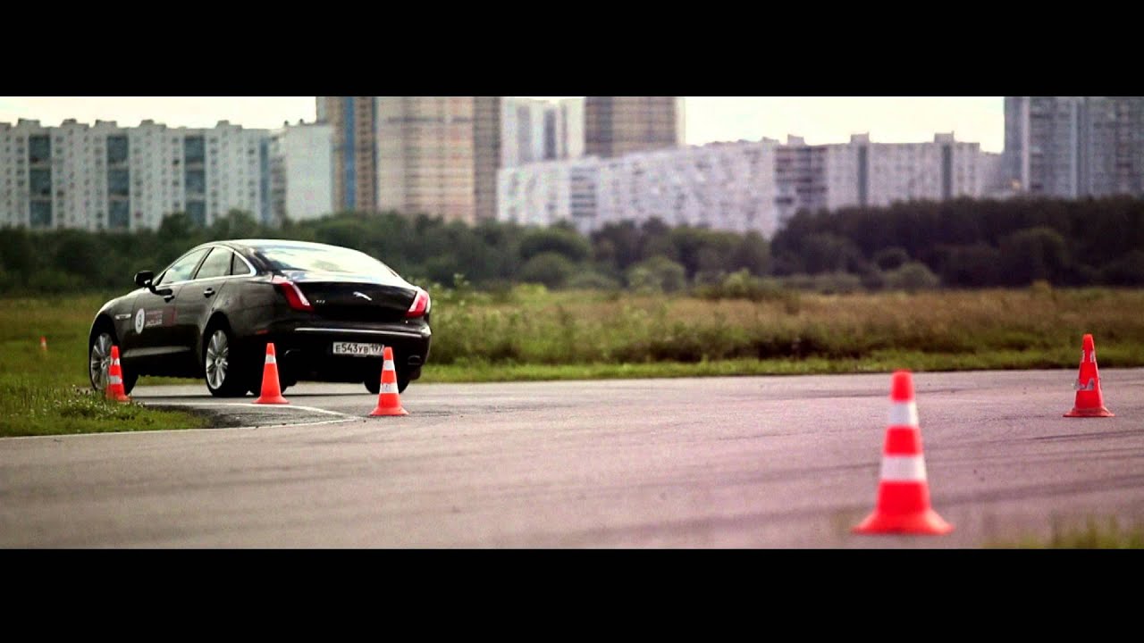 Jaguar бойцовский клуб