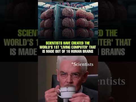 Swedish scientists have