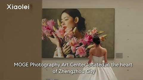 Xiaolei Smart Home System and Two Typical Cases