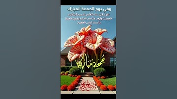 يوم الجمعة. لاتنسوا قراءة سورة الكهف