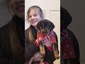 getting cuter by the day ❤️ #rottweiler #rottweilerpuppy #puppy