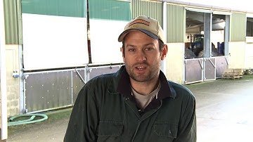 Daily checks and monitoring - Weighing Pigs Into Buildings