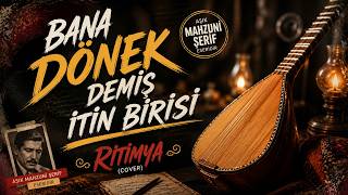 Bana Dönek Demiş İtin Birisi (Cover)