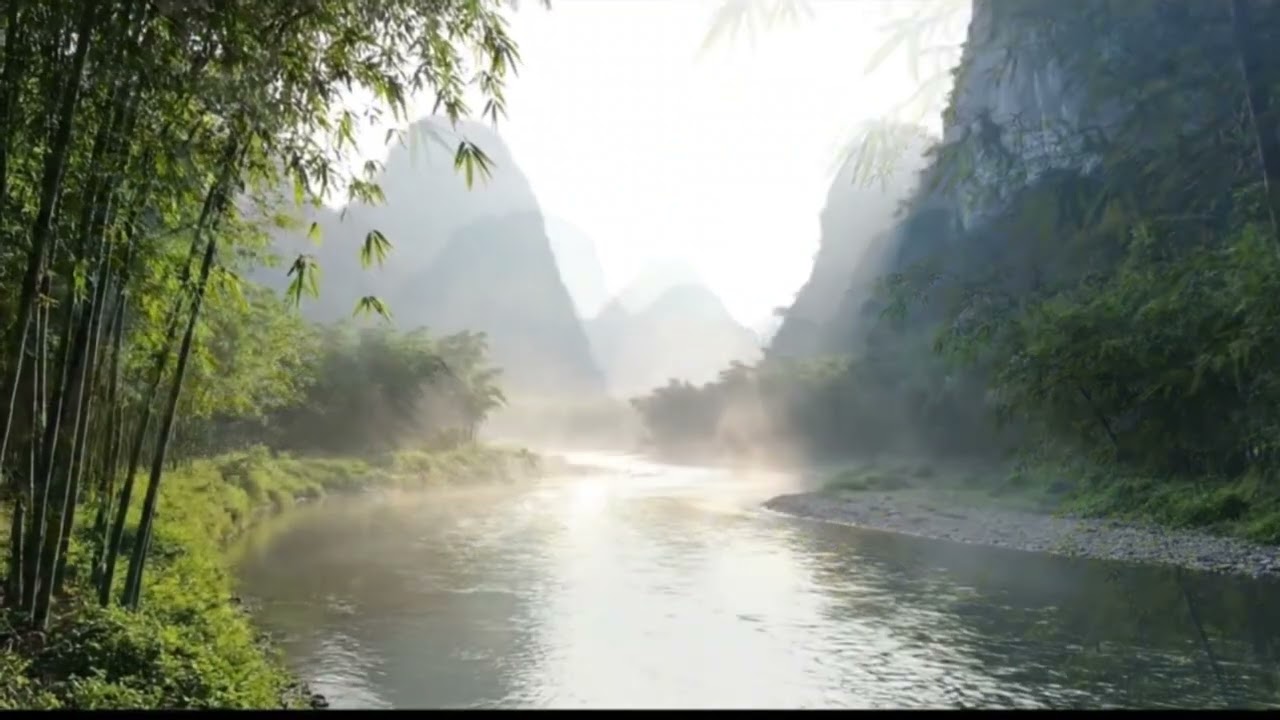 Echoes Beneath Silent Wings