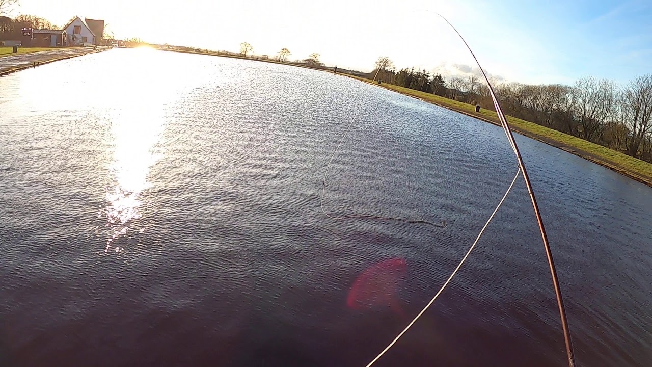 Arranview Trout Fly Fishing For Trout YouTube