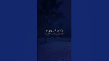 Surah Al-Maidah 042-043 سورة المائدة #quraniv #quran