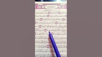 واذكرأسم ربك وتبتل اليه تبتيلا.   سورة المزمل فارس عباد #المصحف #قرآن_كريم #اكسبلور
