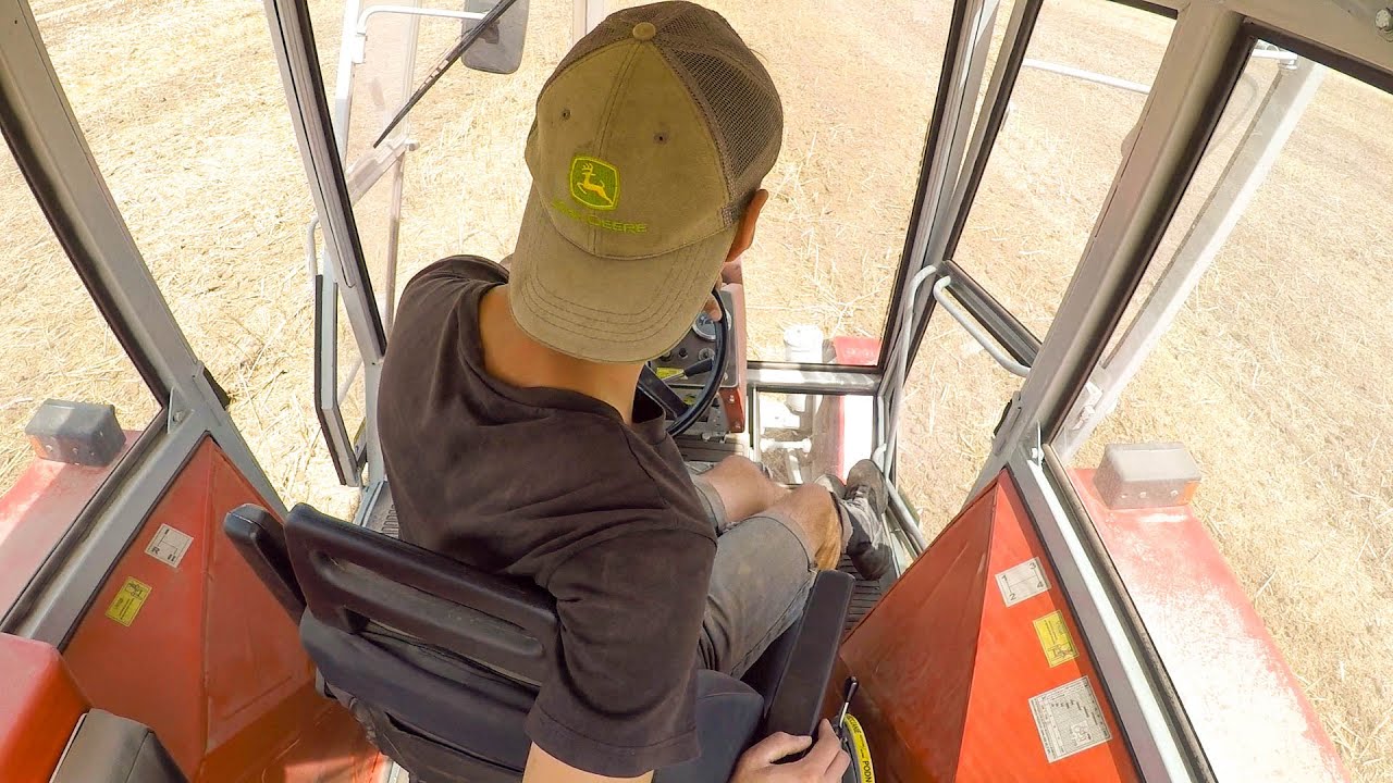 Talerzowanie ZETOR 8011 & STRUMYK ALFA v2 - VLOG