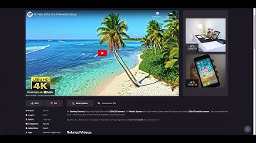 Template 6 - Color Scheme 10 (For Video Website)