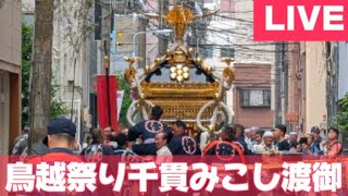 【高画質FHDライブカメラ】鳥越祭り　鳥越神社祭禮　千貫みこし渡御　Torigoe Festival【live camera】2025/06/08