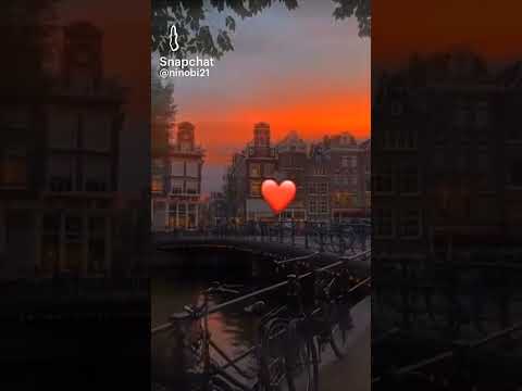 خلي قلبك عندك يتربى في عزك
