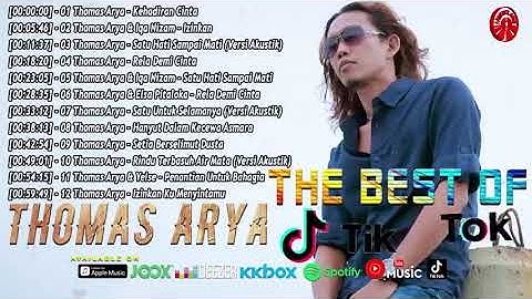 The Best Of Thomas Arya TikTok Official Compilation Video HD