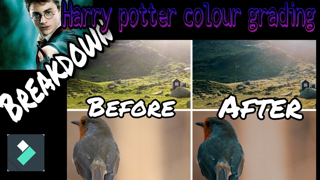 Harry Potter Colour Grading Filmora | Harry Potter Video Editing ...