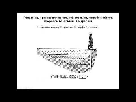 Еремин Н. И. - Геология полезных ископаемых - Рассыпные и осадочные месторождения