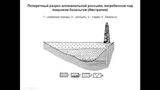 Еремин Н. И. - Геология полезных ископаемых - Рассыпные и осадочные месторождения