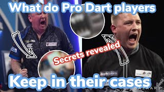 What is in a professional dart players case