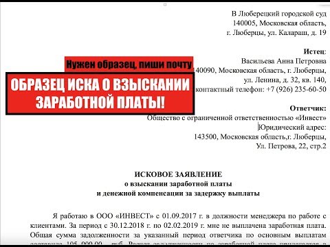 Взыскание заработной платы.  Образец искового заявления о взыскании зарплаты.  Иск.  Юрист.