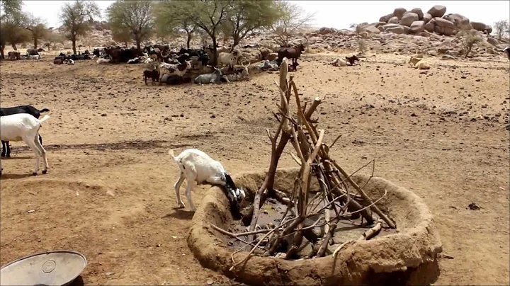 WMG in Burkina Faso - Gabions for Watershed Restoration