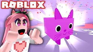 :     !    ROBLOX