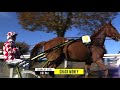 Gnt paristurf 2021  meilleur cheval  crack money